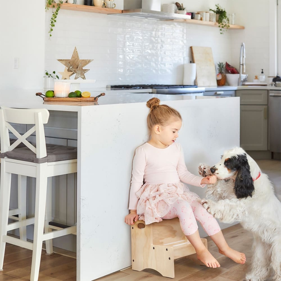 Step Stools